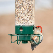 Load image into Gallery viewer, 2024 Summer New Arrival š„100% Squirrel Resistant Bird Feeder