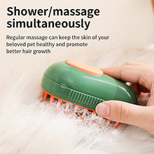 Cargar imagen en el visor de la galería, 3 in 1 Cat Steamy Brush for Massage, Clean and Removing Loose Hair