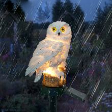 Cargar imagen en el visor de la galerÃa, Solar Owl Garden Decorative Landscape Light
