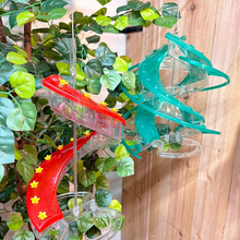 Load image into Gallery viewer, DNA Helix 32-Port Hummingbird Feeder