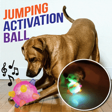 Cargar imagen en el visor de la galerĆa, PetsBoro⢠Pet Ball Endless Entertainment for Your Furry Friend!