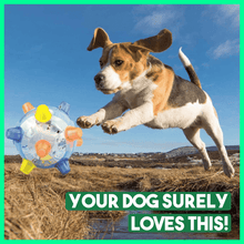 Cargar imagen en el visor de la galerĆa, PetsBoro⢠Pet Ball Endless Entertainment for Your Furry Friend!
