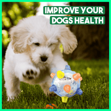 Cargar imagen en el visor de la galerĆa, PetsBoro⢠Pet Ball Endless Entertainment for Your Furry Friend!