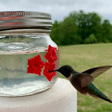 Load image into Gallery viewer, Mason Jar Hummingbird Feeder
