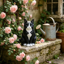Cargar imagen en el visor de la galería, Graddi™ Companion Kitties
