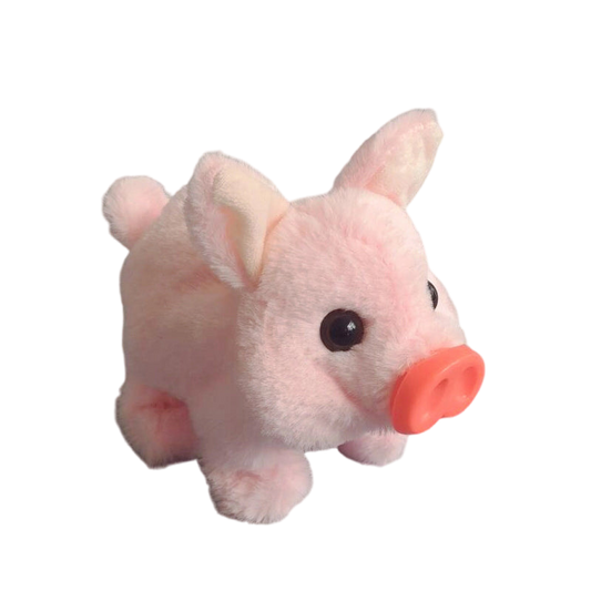 Graddi™ PiggyPal