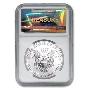Silver Coin Collection Box