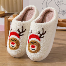 Cargar imagen en el visor de la galería, Women&#39;s Winter Warm Plush Cartoon  House Slippers
