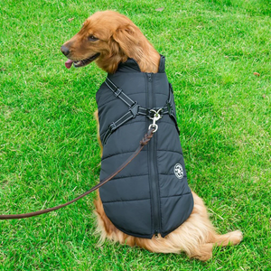 Grishay™ Dog Jacket