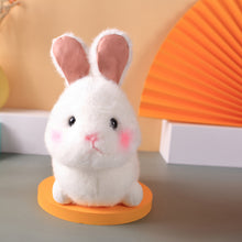 Load image into Gallery viewer, Graddi Dr.Bunny
