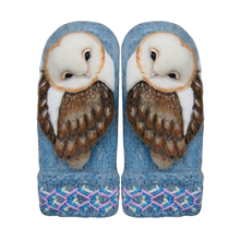 Load image into Gallery viewer, Grishay OwlKnits Mittens
