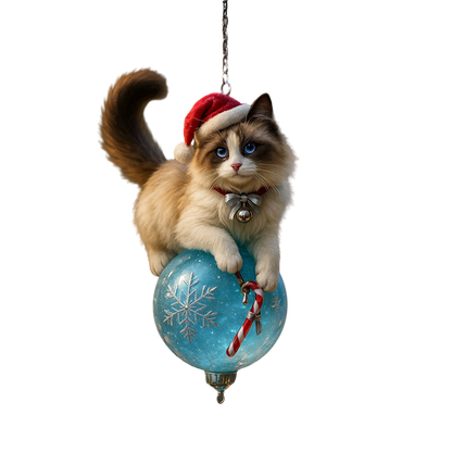 Graddi Snowy Paws