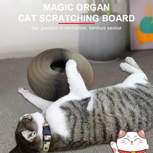 PetsBoro Magic Organ Cat Scratch Board